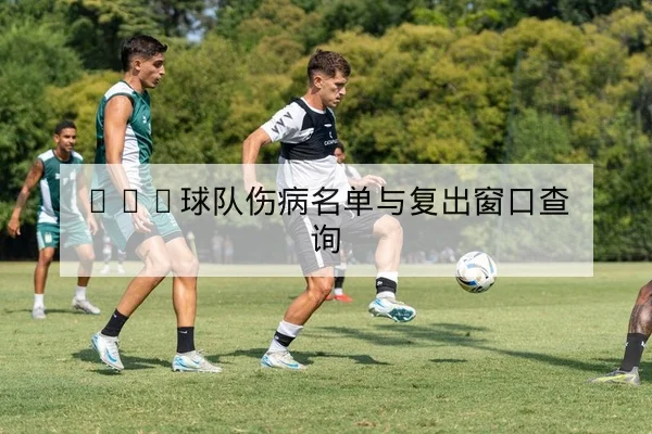 CBA球队伤病名单与复出窗口查询